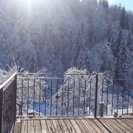 Turisticna Kmetija Weiss Villa Miklavz pri Taboru Buitenkant foto