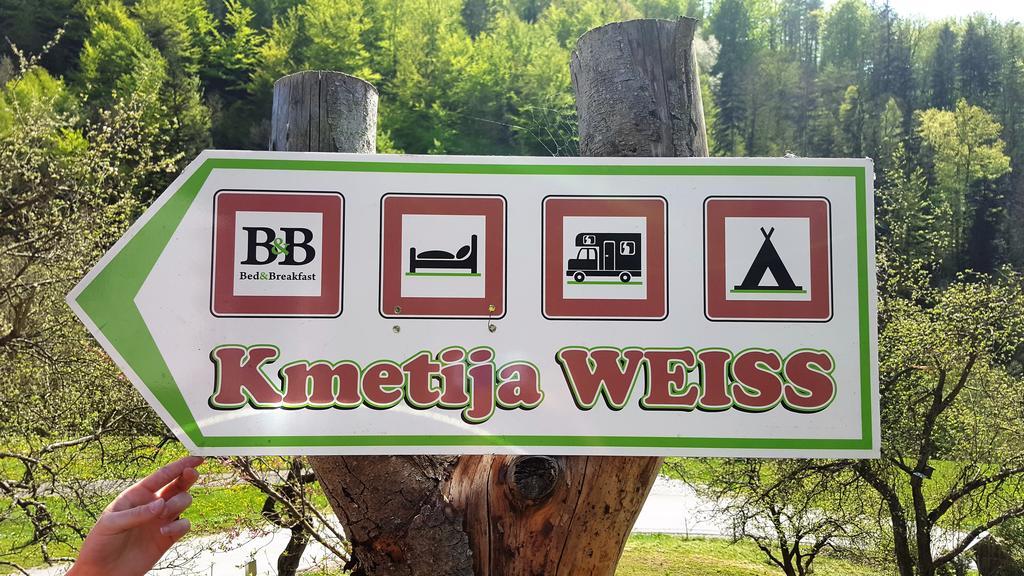 Turisticna Kmetija Weiss Villa Miklavz pri Taboru Buitenkant foto