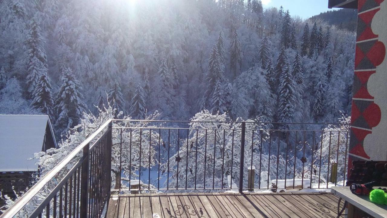 Turisticna Kmetija Weiss Villa Miklavz pri Taboru Buitenkant foto