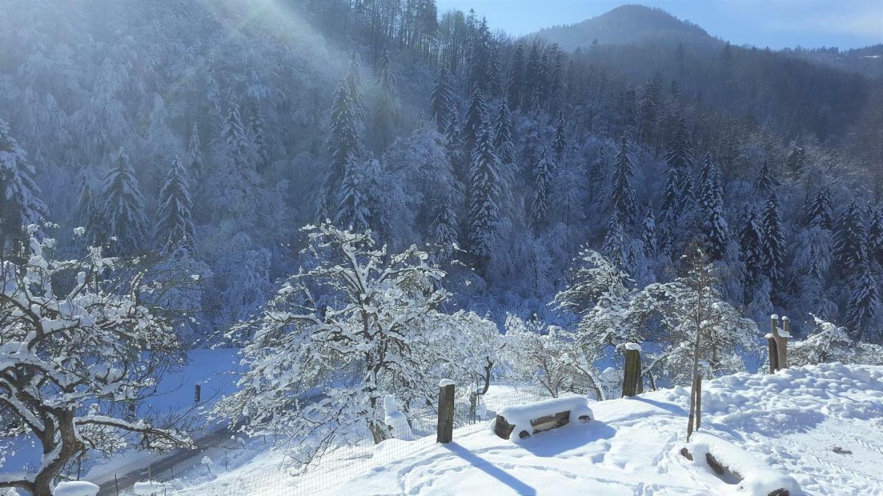 Turisticna Kmetija Weiss Villa Miklavz pri Taboru Buitenkant foto