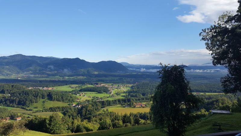 Turisticna Kmetija Weiss Villa Miklavz pri Taboru Buitenkant foto