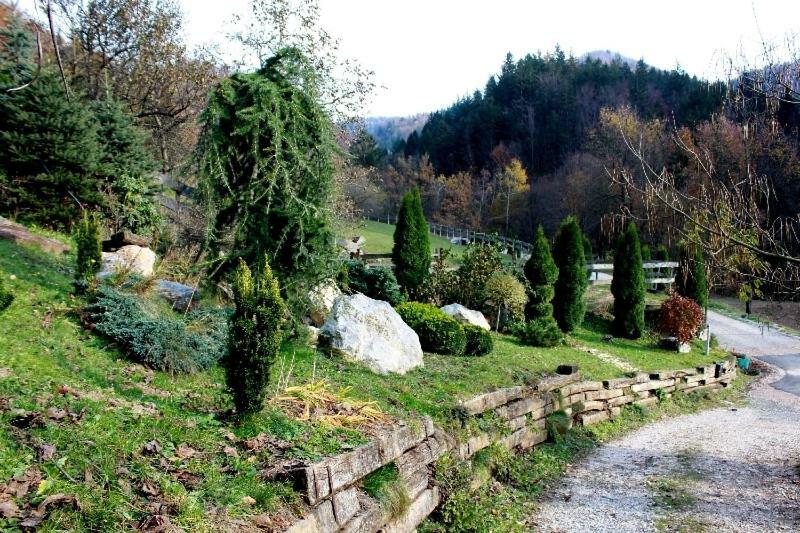 Turisticna Kmetija Weiss Villa Miklavz pri Taboru Buitenkant foto