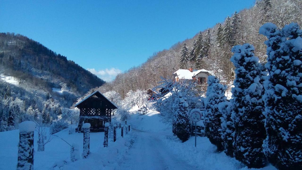 Turisticna Kmetija Weiss Villa Miklavz pri Taboru Buitenkant foto